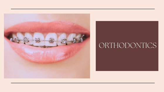 Straightening Smiles: The World of Orthodontics in Tallahassee, FL - Digytalia