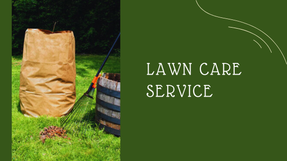 The Importance of Professional Lawn Care Services for Property Value - Digytalia