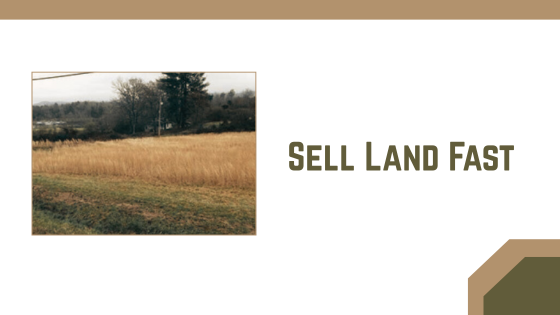 The Fastest Way to Sell Rural Land in Georgia—Even If It’s Landlocked or Unused - Digytalia
